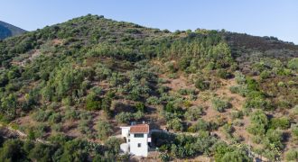 19845 House in the countryside with agricultural land for sale